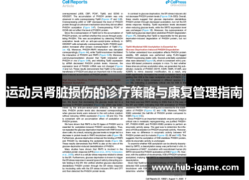 运动员肾脏损伤的诊疗策略与康复管理指南