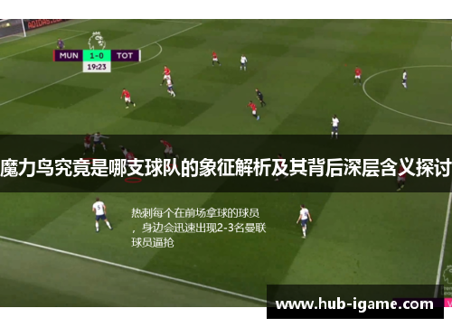 魔力鸟究竟是哪支球队的象征解析及其背后深层含义探讨