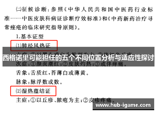 西格诺里可能担任的五个不同位置分析与适应性探讨