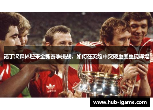 诺丁汉森林迎来全新赛季挑战，如何在英超中突破重围重现辉煌